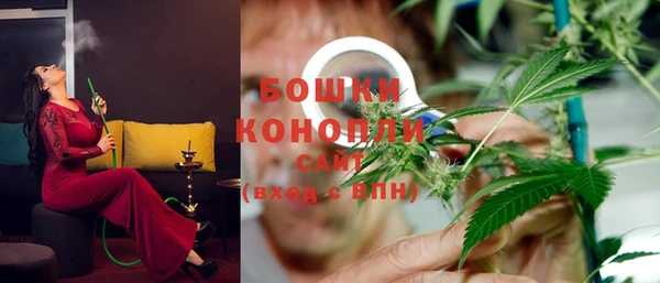 spice Осинники