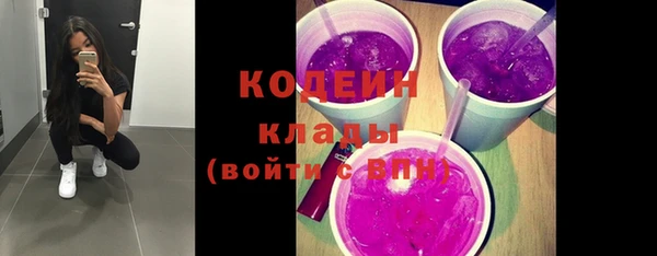 spice Осинники