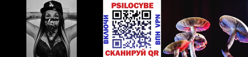 Псилоцибиновые грибы ЛСД blacksprut ссылка Краснознаменск закладки
