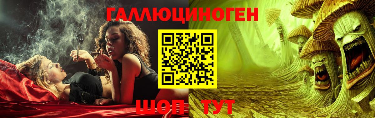 сколько стоит  Псилоцибиновые грибы Psilocybine cubensis  Вход с VPN  Краснознаменск 